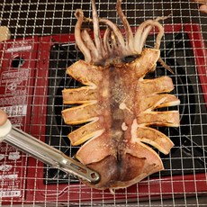 당일바리 포항 피데기 반건조오징어 5미 10미, 5미 소