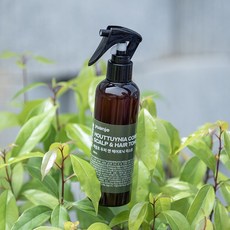 어성초 수딩진정 두피 토너 스프레이, 2개, 200ml