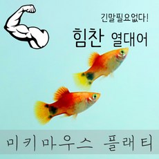 e7fd5912b64c13f2a67af18c7d3bdd40662bf1b5c4121d4d2dfd3bc757d7.jpg