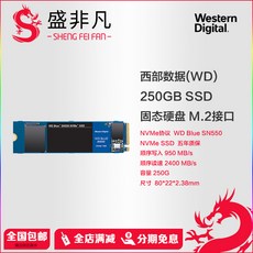 외장SSD WD/WesternDigital알루미늄판 블랙밑창 SN550SN750250G500GM.2NVMESSD SSD1TB, 기본, T05-WesternDigital SN550 250G NVMe M.2알루미늄판
