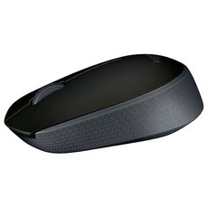 로지텍m170