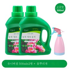 녹녹
