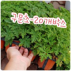 bd90b3045ec1745b9875bcdd19f4239597d2a0fc043835fa130ab4423645.jpg