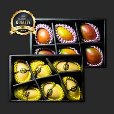[요리하는남자들] 골드망고 애플망고 무지개망고 마하차녹 1kg 2kg 4kg 가정용 선물세트, 애플망고 1kg (2-3과), 1박스