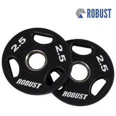 robust원판