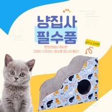 펫토벤 고양이 웨이브 스크래쳐 스카이블루 1ea, 1개