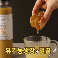 생마차