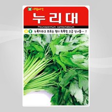 슬로시 산채 씨앗 나물 종자 더덕 도라지 고들빼기, 1개