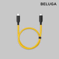 벨루가케이블