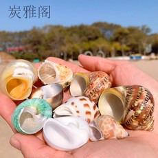 6ecd04e857695b8a5e36d553f8001081d4e2c9a35ca4aaabffb4080703e1.jpg