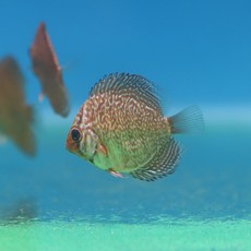 6daca255269a4d3184dd847b1eef42de894c0b75d206bcbfe016935f3fa9.jpg