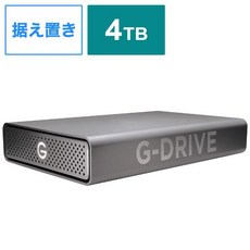 샌디스크프로페셔널
