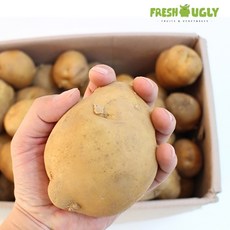 [자연애] 못난이 감자 10kg 왕특 150~250g, 단품