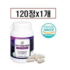 차즈기효능