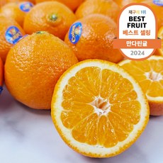 만다린 감귤 꿀달달 1%천상의맛 미국귤, 1개, 1kg(특품)