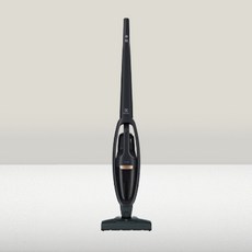 국내 빠른배송 일렉트로룩스 일렉트로룩스 WQ61-1OGG 싸이클론 무선청소기