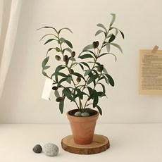 THE FLOWERMARKET 我的小橄欖樹, 混色, 1個