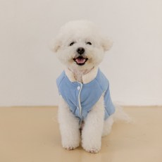 애니멀로우 강아지 겨울 패딩 조끼 코듀로이 방한복, 블루, 1개