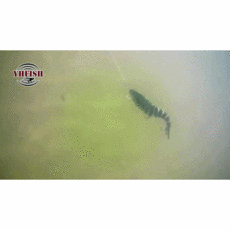 얼루어5월호