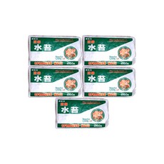 모두다 테라리움 토피어리 칠레 풍란 양란식재용 수태(150g) 5개