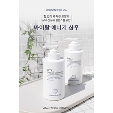 닥터헤디슨버블