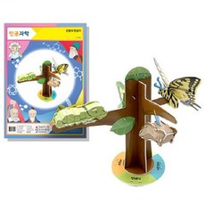 스콜라스3d입체퍼즐