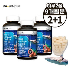 치아에좋은 치아 뼈 잇몸 영양제 청새리 상어연골 칼슘 골다공증 발생위험감소 칼시움, 3개, 180정