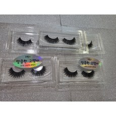 속눈썹교재