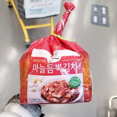 종가집 마늘듬뿍김치 1.4kg x 1개, 종이박스포장