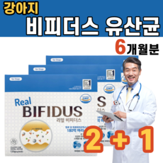 프로파이브에이