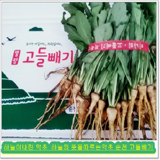 참농인고들빼기5단(하늘이내린약초), 2box, 1.5kg