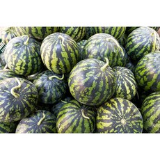 당도선별 수박 에어포장 고당도 꿀수박, 1개, 3~4kg