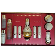 오휘 더 퍼스트 제너츄어 앰풀 80ml 증량기획, 단일상품