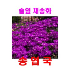 7d2869c7ca87d9820cf5107f63c89ae48b6e2a668c12e093747f786e97e7.jpg