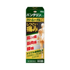 반테린 코와 크림 겔a 파스 10g