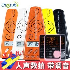 볼레로바이올린