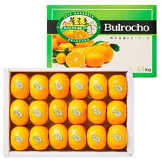 프리미엄 만감류 고당도 불로초 감귤 1.5kg (12.5brix 특품), 1개