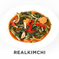 종가집열무물김치5kg