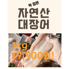 막 잡은 자연산 대장어 1kg 19 900원! 가격 오르기 전에 마지막 초특가 갑니다, 1개