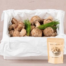절과당 [산지직송](일품) 경북구미 진송향버섯 1kg 고급선물세트 송향/송고, 일품 친환경 진송향버섯 1kg, 1개