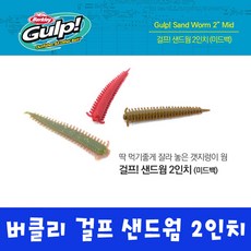 참갯지렁이