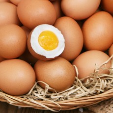 흥생농장반숙계란