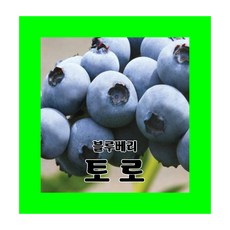 94abf49ee6ac0535ef2f07c4399e041f8aaf01544dd3e1bac4b15eac3611.jpg