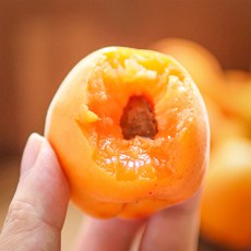하코트 햇 살구 초고당도 프리미엄 영천 산지직송, 대과, 1박스, 500g