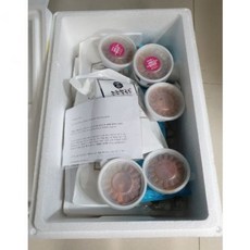 맛있는녀석들우족탕