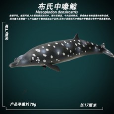 해양생물피규어