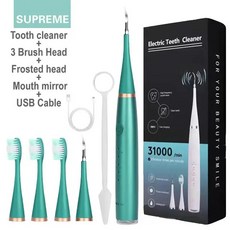소닉 전동 칫솔 치아 클리너 치과 스케일러 USB 충전식 치석 얼룩 플라크 리무버 도구, green with 5 heads, 1개