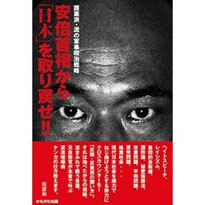 아베 총리의 일본을 되 찾아라!, 단일옵션, 단일옵션