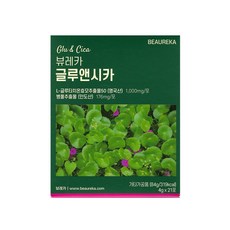 글루앤시카 추천 1등 제품