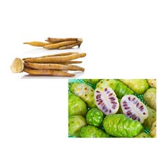노니 핑거루트 우엉 다이어트 슬림 체지방 BMI 비만 헬스 운동 요가 필라테스 산책 달리기 조깅 테니스 수영 골프 스키 면역 항염증 항산화 건강 아이들 부모님 선물 애인 남편 아내, 33개, 80ml
